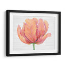 Sola Floración Rosa I - Tim OToole | Cuadro decorativo de Canvas Lab