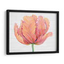 Sola Floración Rosa I - Tim OToole | Cuadro decorativo de Canvas Lab