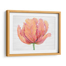 Sola Floración Rosa I - Tim OToole | Cuadro decorativo de Canvas Lab