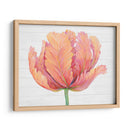 Sola Floración Rosa I - Tim OToole | Cuadro decorativo de Canvas Lab