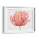 Sola Floración Rosa I - Tim OToole | Cuadro decorativo de Canvas Lab