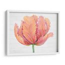 Sola Floración Rosa I - Tim OToole | Cuadro decorativo de Canvas Lab
