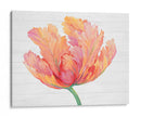 Sola Floración Rosa Ii - Tim OToole | Cuadro decorativo de Canvas Lab