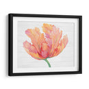 Sola Floración Rosa Ii - Tim OToole | Cuadro decorativo de Canvas Lab