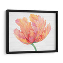 Sola Floración Rosa Ii - Tim OToole | Cuadro decorativo de Canvas Lab