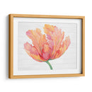 Sola Floración Rosa Ii - Tim OToole | Cuadro decorativo de Canvas Lab