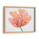 Sola Floración Rosa Ii - Tim OToole | Cuadro decorativo de Canvas Lab