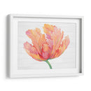 Sola Floración Rosa Ii - Tim OToole | Cuadro decorativo de Canvas Lab