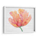 Sola Floración Rosa Ii - Tim OToole | Cuadro decorativo de Canvas Lab