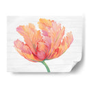Sola Floración Rosa Ii - Tim OToole | Cuadro decorativo de Canvas Lab