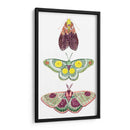 Hadas De La Polilla I - Grace Popp | Cuadro decorativo de Canvas Lab