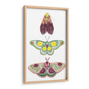 Hadas De La Polilla I - Grace Popp | Cuadro decorativo de Canvas Lab