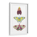 Hadas De La Polilla I - Grace Popp | Cuadro decorativo de Canvas Lab