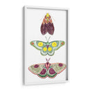 Hadas De La Polilla I - Grace Popp | Cuadro decorativo de Canvas Lab