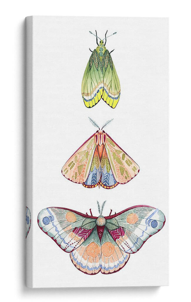 Fairies De Polilla Ii - Grace Popp | Cuadro decorativo de Canvas Lab