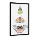 Fairies De Polilla Ii - Grace Popp | Cuadro decorativo de Canvas Lab