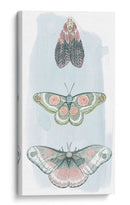 Hadas Enjoyadas I - Grace Popp | Cuadro decorativo de Canvas Lab