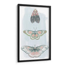 Hadas Enjoyadas I - Grace Popp | Cuadro decorativo de Canvas Lab