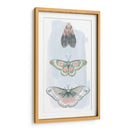 Hadas Enjoyadas I - Grace Popp | Cuadro decorativo de Canvas Lab
