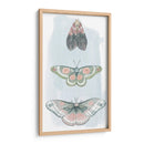 Hadas Enjoyadas I - Grace Popp | Cuadro decorativo de Canvas Lab