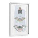 Hadas Enjoyadas I - Grace Popp | Cuadro decorativo de Canvas Lab