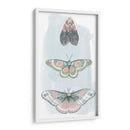 Hadas Enjoyadas I - Grace Popp | Cuadro decorativo de Canvas Lab