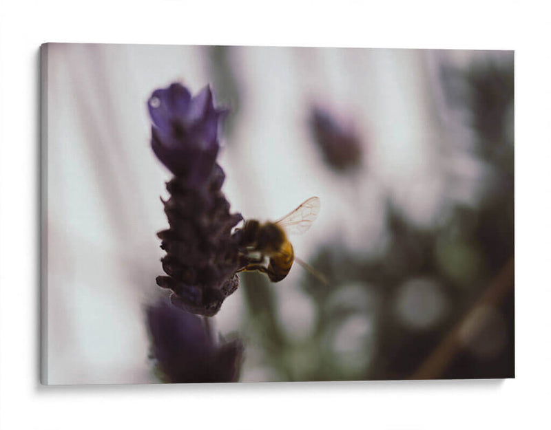 ElPolen - Juliana Estrada | Cuadro decorativo de Canvas Lab