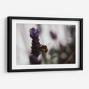 ElPolen - Juliana Estrada | Cuadro decorativo de Canvas Lab