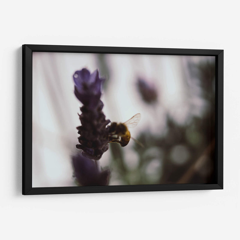 ElPolen - Juliana Estrada | Cuadro decorativo de Canvas Lab