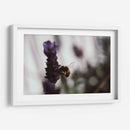 ElPolen - Juliana Estrada | Cuadro decorativo de Canvas Lab