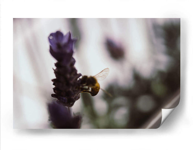 ElPolen - Juliana Estrada | Cuadro decorativo de Canvas Lab