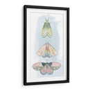 Fairies Enjoyadas Ii - Grace Popp | Cuadro decorativo de Canvas Lab