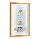 Fairies Enjoyadas Ii - Grace Popp | Cuadro decorativo de Canvas Lab