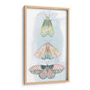 Fairies Enjoyadas Ii - Grace Popp | Cuadro decorativo de Canvas Lab