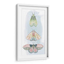 Fairies Enjoyadas Ii - Grace Popp | Cuadro decorativo de Canvas Lab