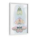 Fairies Enjoyadas Ii - Grace Popp | Cuadro decorativo de Canvas Lab