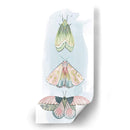 Fairies Enjoyadas Ii - Grace Popp | Cuadro decorativo de Canvas Lab