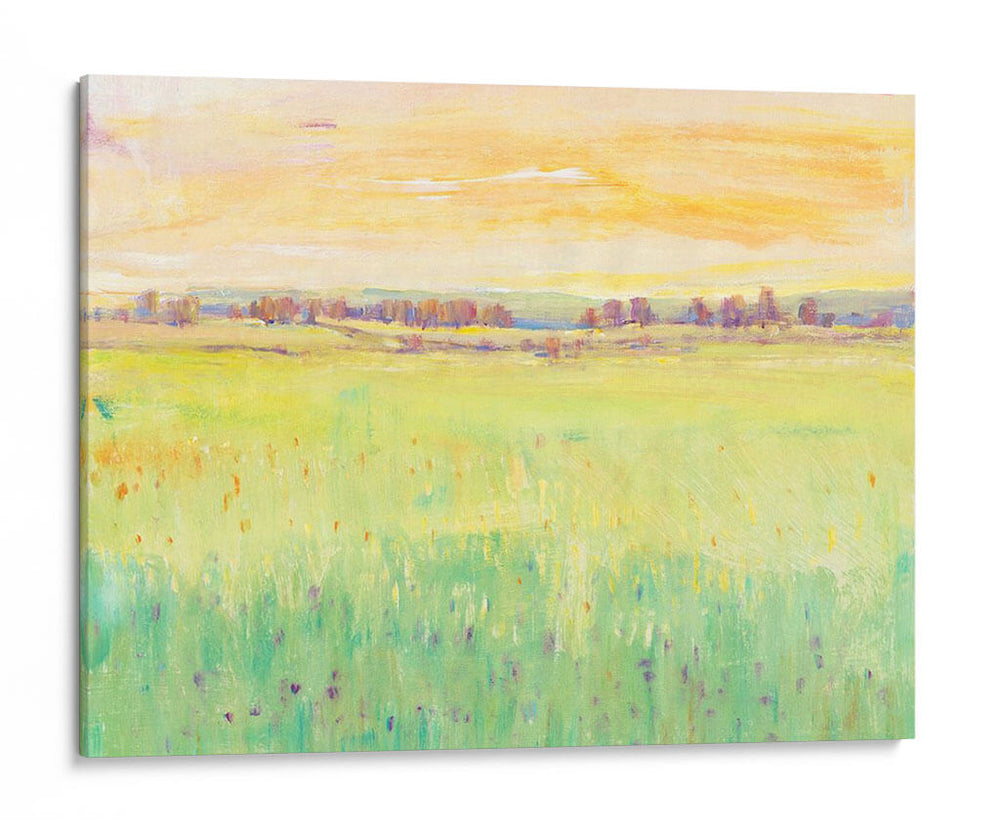 Pasto De Primavera Ii - Tim OToole | Cuadro decorativo de Canvas Lab