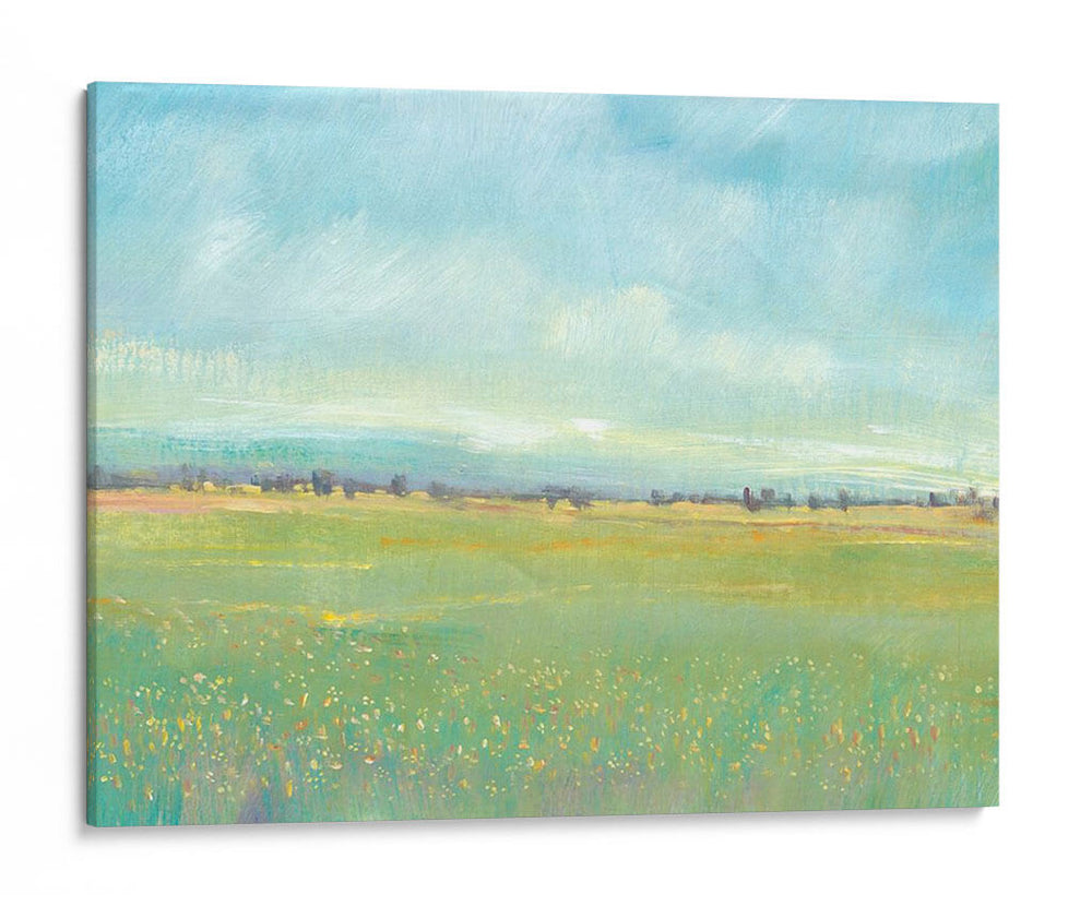 Luz De Prado Suave I - Tim OToole | Cuadro decorativo de Canvas Lab