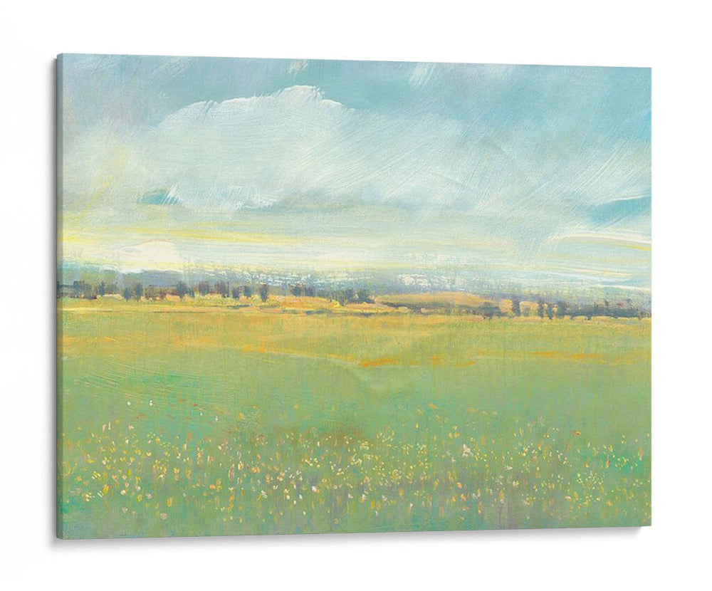 Luz De Prado Suave Ii - Tim OToole | Cuadro decorativo de Canvas Lab
