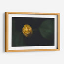 FlorDeGota - Juliana Estrada | Cuadro decorativo de Canvas Lab