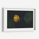 FlorDeGota - Juliana Estrada | Cuadro decorativo de Canvas Lab