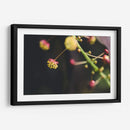 FlorDelJardín - Juliana Estrada | Cuadro decorativo de Canvas Lab