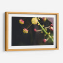 FlorDelJardín - Juliana Estrada | Cuadro decorativo de Canvas Lab