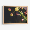 FlorDelJardín - Juliana Estrada | Cuadro decorativo de Canvas Lab