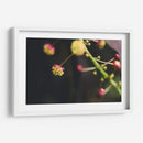 FlorDelJardín - Juliana Estrada | Cuadro decorativo de Canvas Lab