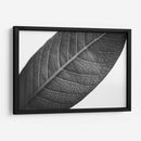 HojaTextura - Juliana Estrada | Cuadro decorativo de Canvas Lab