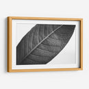 HojaTextura - Juliana Estrada | Cuadro decorativo de Canvas Lab