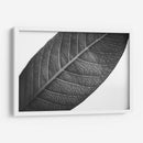 HojaTextura - Juliana Estrada | Cuadro decorativo de Canvas Lab