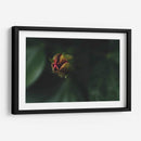 JovenConElDía - Juliana Estrada | Cuadro decorativo de Canvas Lab